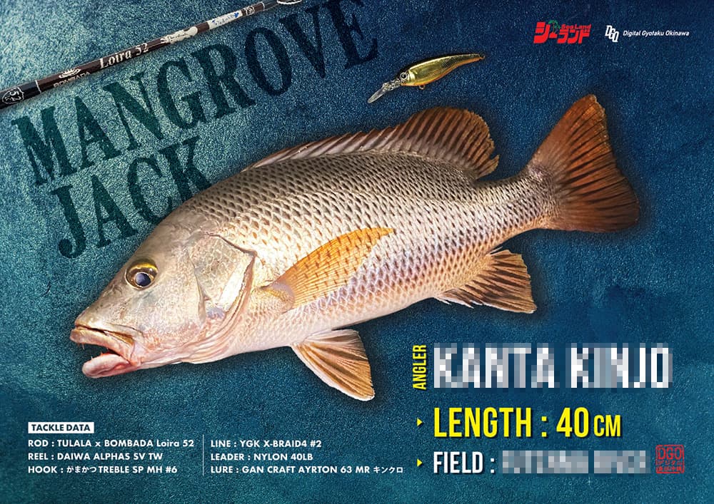 kanta_mangrovejack-01_20230831132512759.jpg